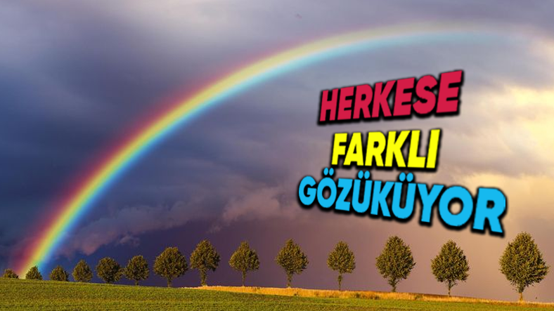 Gökkuşağına Bakan Her Bir Kişinin Birbirinden Farklı Renkler Görmesine Yol Açan Bilimsel Sebep